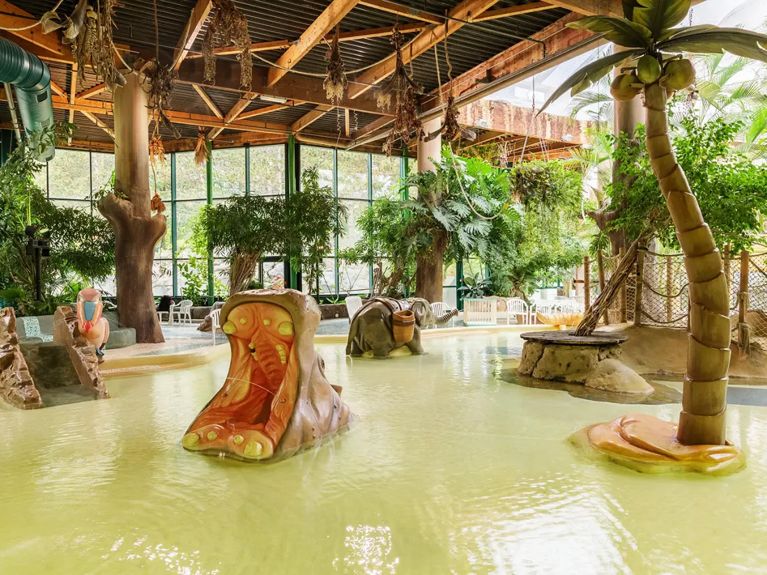 Center Parcs - Domaine Les Bois-Francs