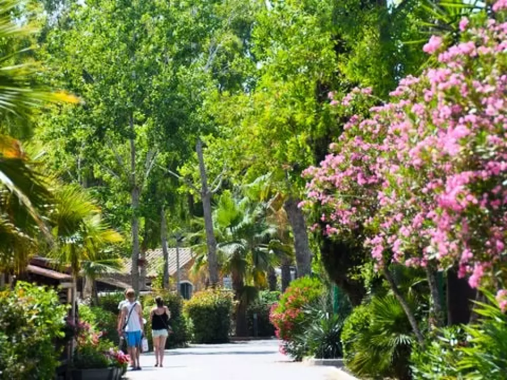 Camping Les Salisses  4 étoiles★★★★