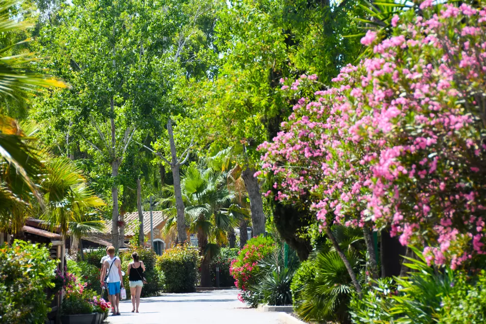 Camping Les Salisses4 étoiles★★★★