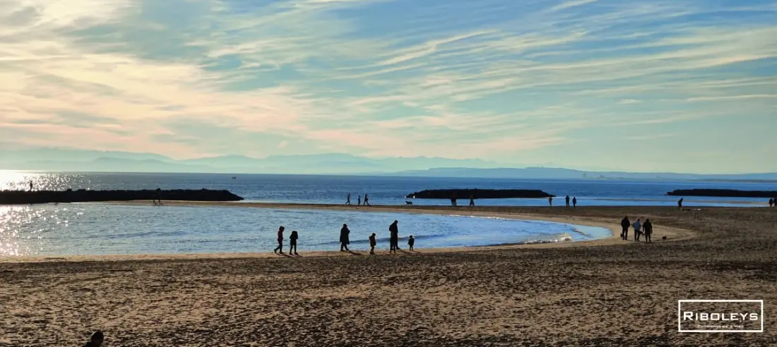 Riboleys -superbe T1 à 100m De La Plage