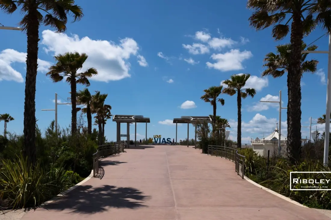 Riboleys - Grand T3 Moderne à 100m De La Mer