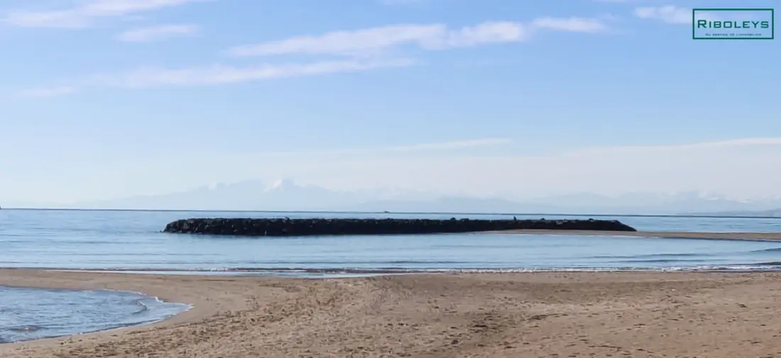 Riboleys - Grand T1 à 100m De La Plage