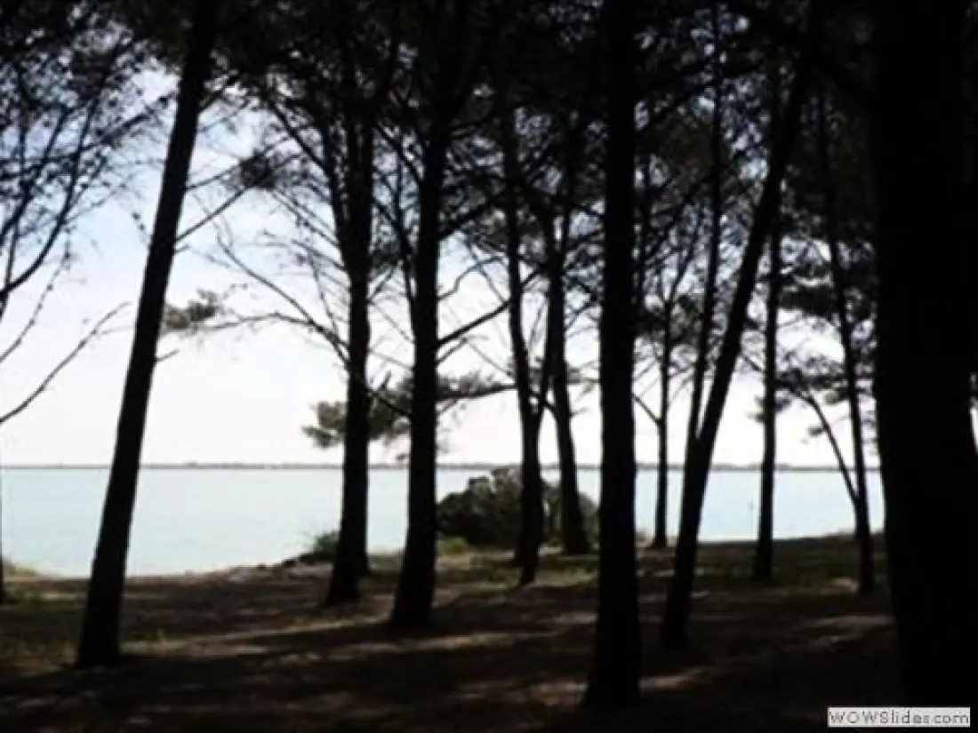 Camping le Mas des Roses 3 étoiles★★★