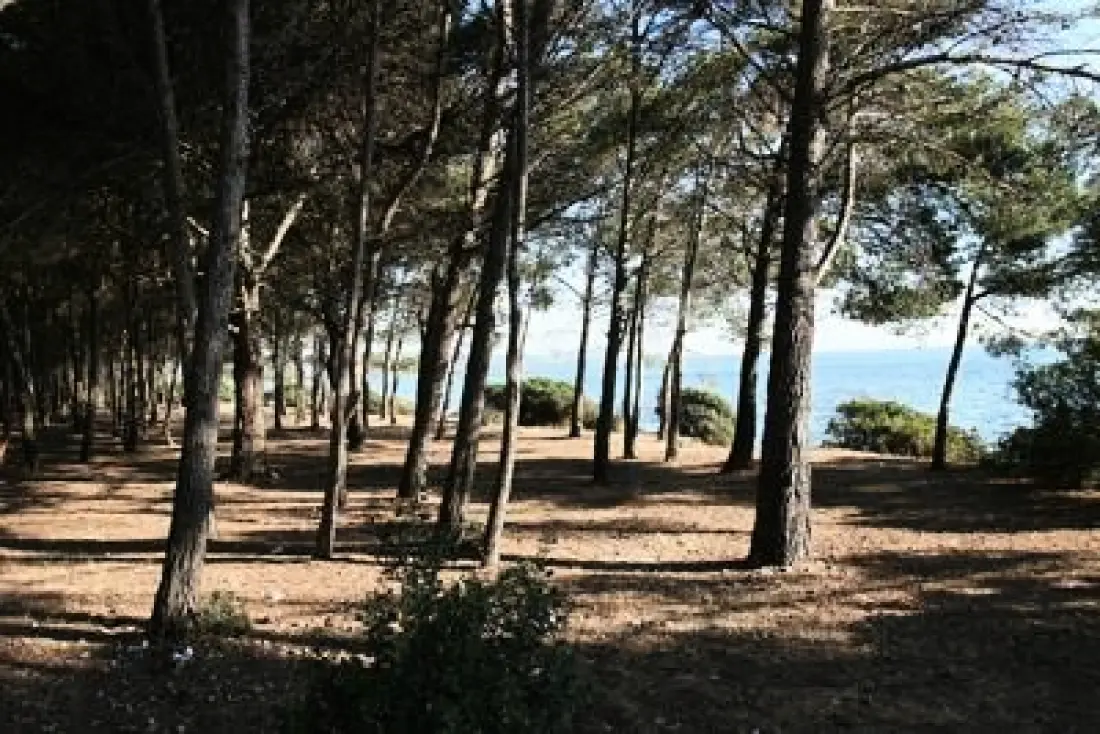 Camping le Mas des Roses 3 étoiles★★★