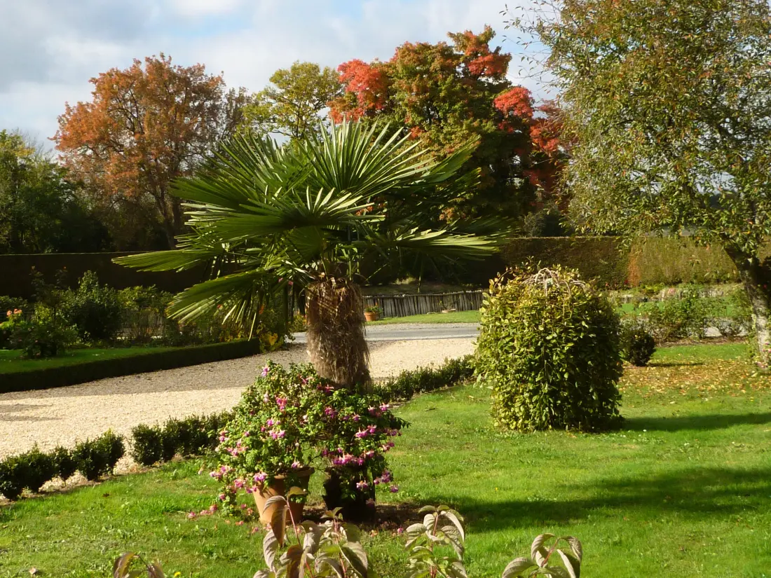 Maison de Vacances Vicq-sur-Nahon 2