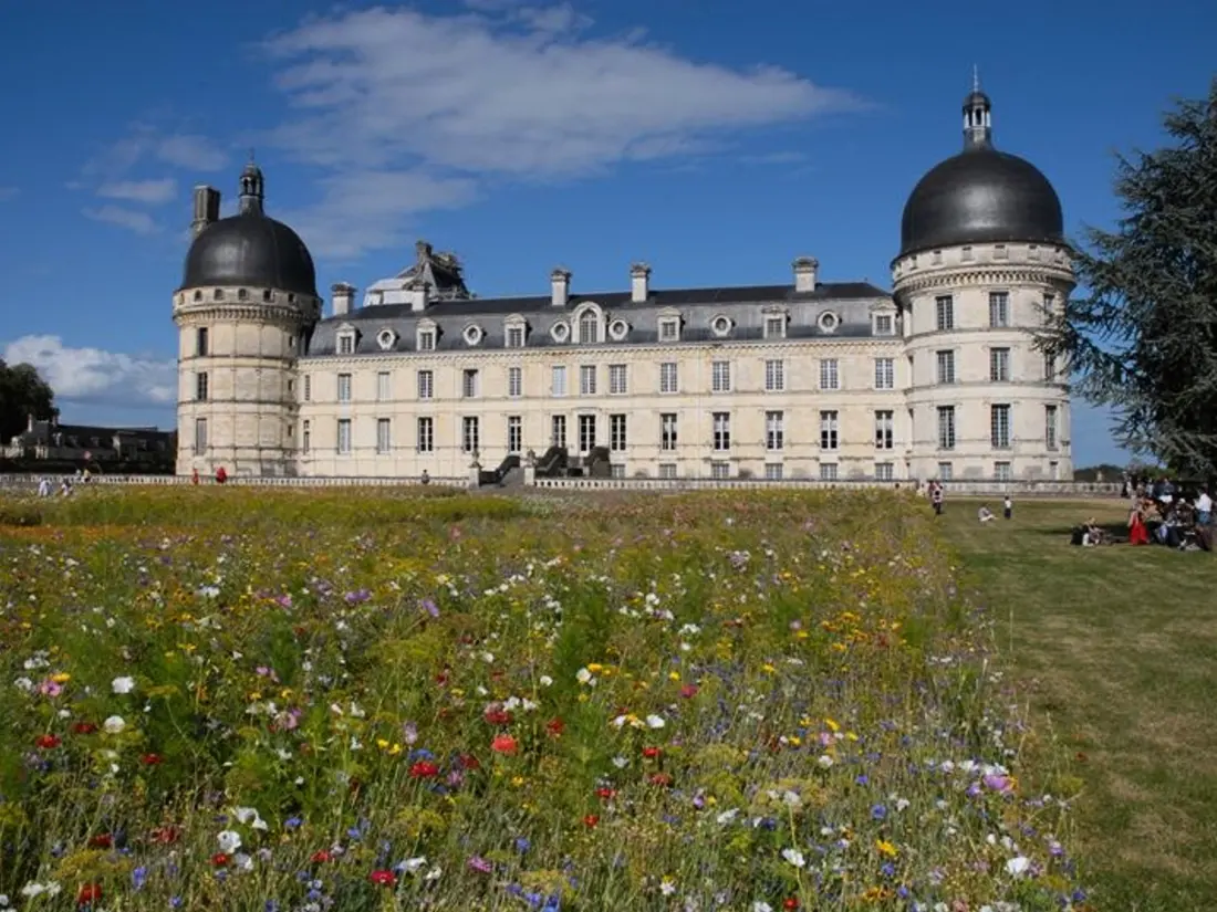 Maison de Vacances Vicq-sur-Nahon