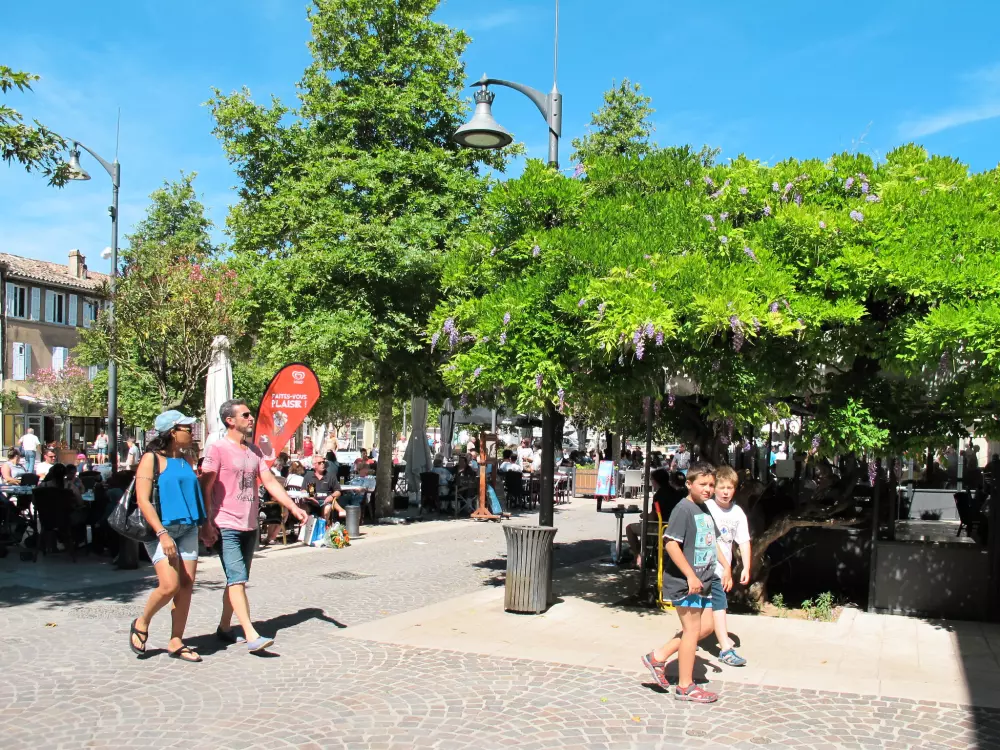 Maison de Vacances Vidauban