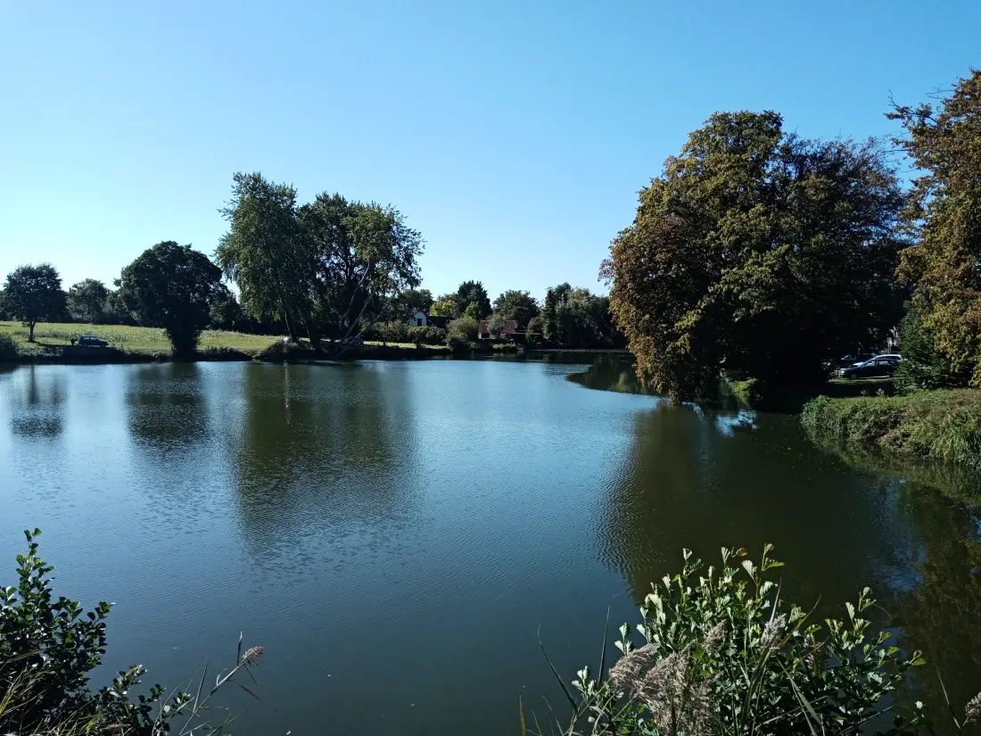 Maison de Vacances Vieilles-Maisons-sur-Joudry 5