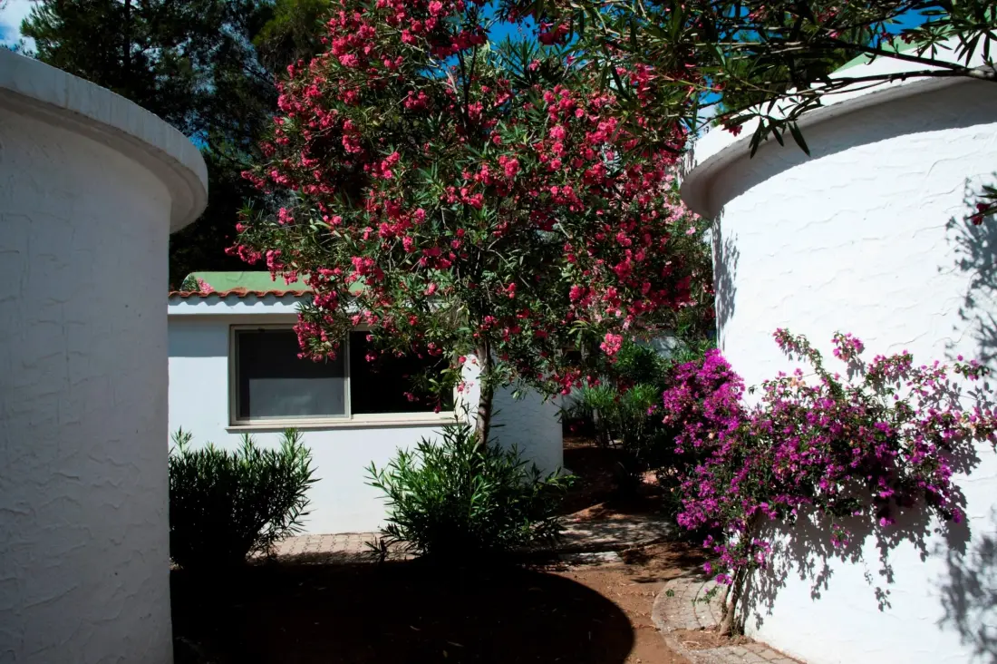 Camping Capo Vieste 3 étoiles★★★