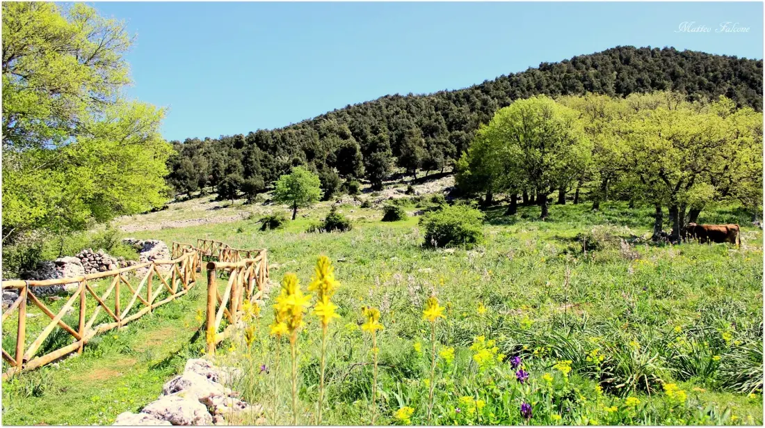 Camping Village Le Diomedee 3 étoiles★★★