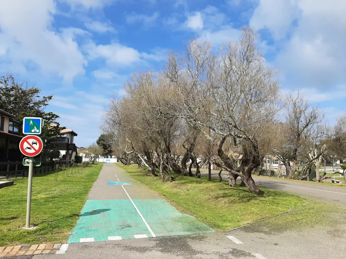 Location de Vacances Vieux-Boucau-les-Bains 137