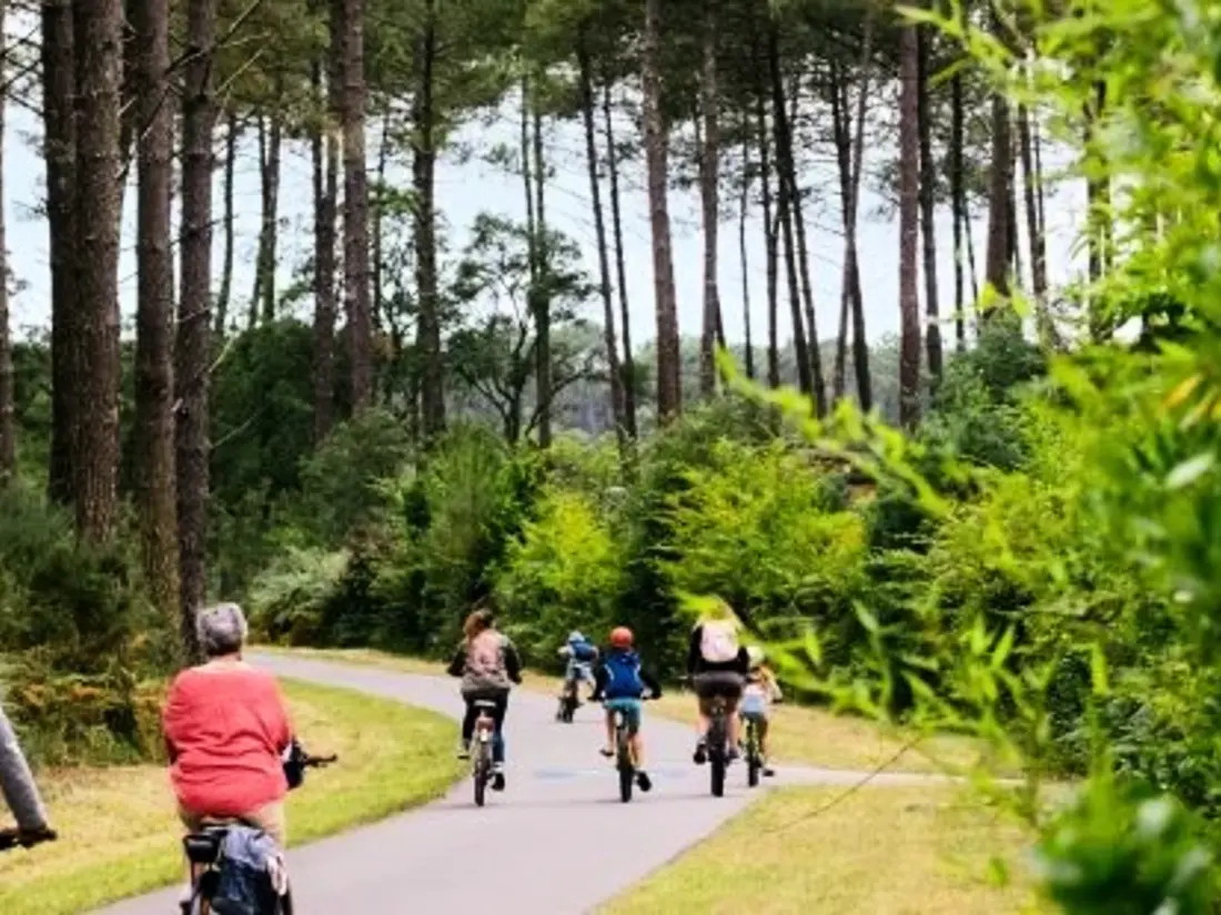 Location de Vacances Vieux-Boucau-les-Bains 185