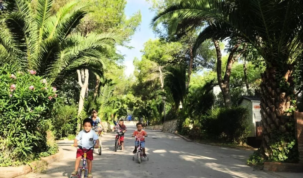 Camping Vilanova Park4 étoiles★★★★