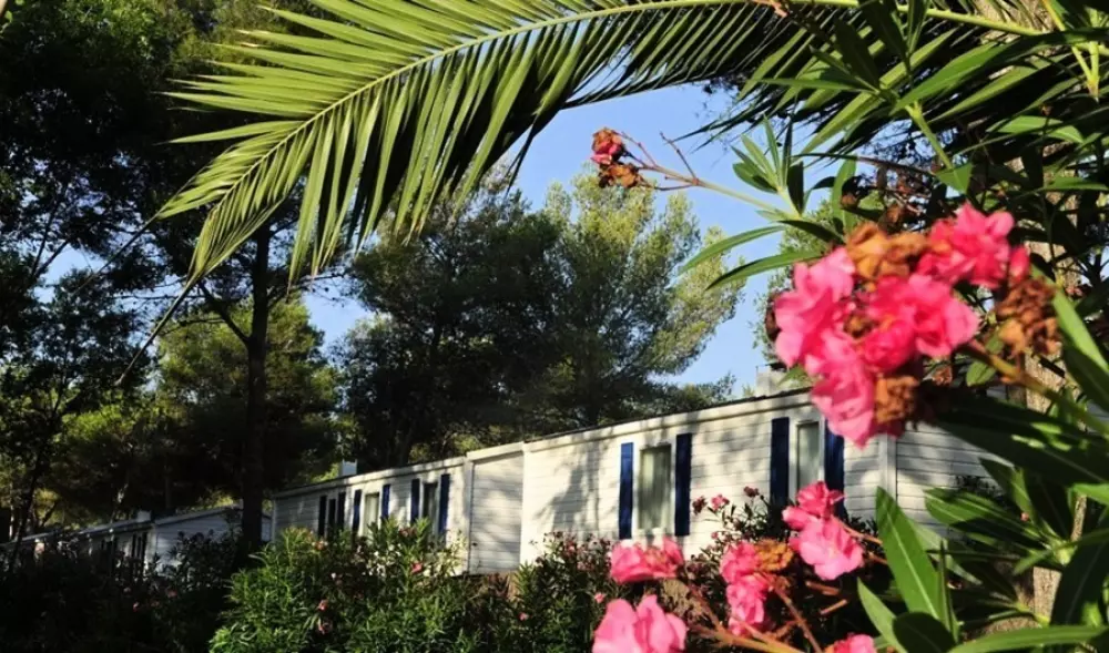 Camping Vilanova Park4 étoiles★★★★