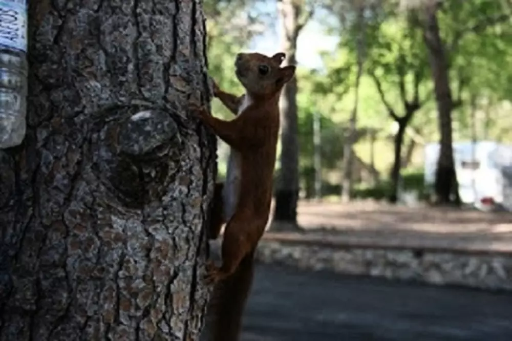 Camping Vilanova Park4 étoiles★★★★