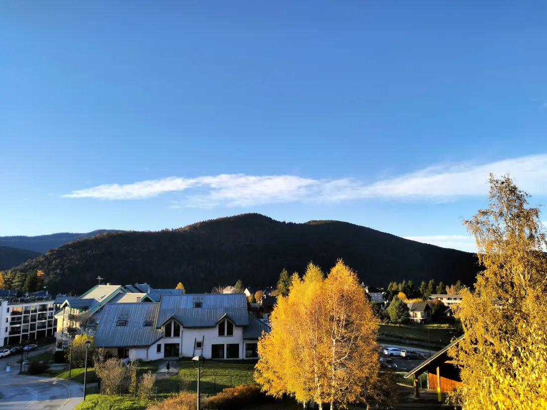Location de Vacances Villard-de-Lans 206