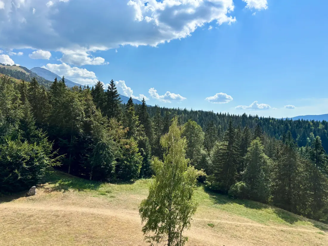 Location de Vacances Villard-de-Lans 252