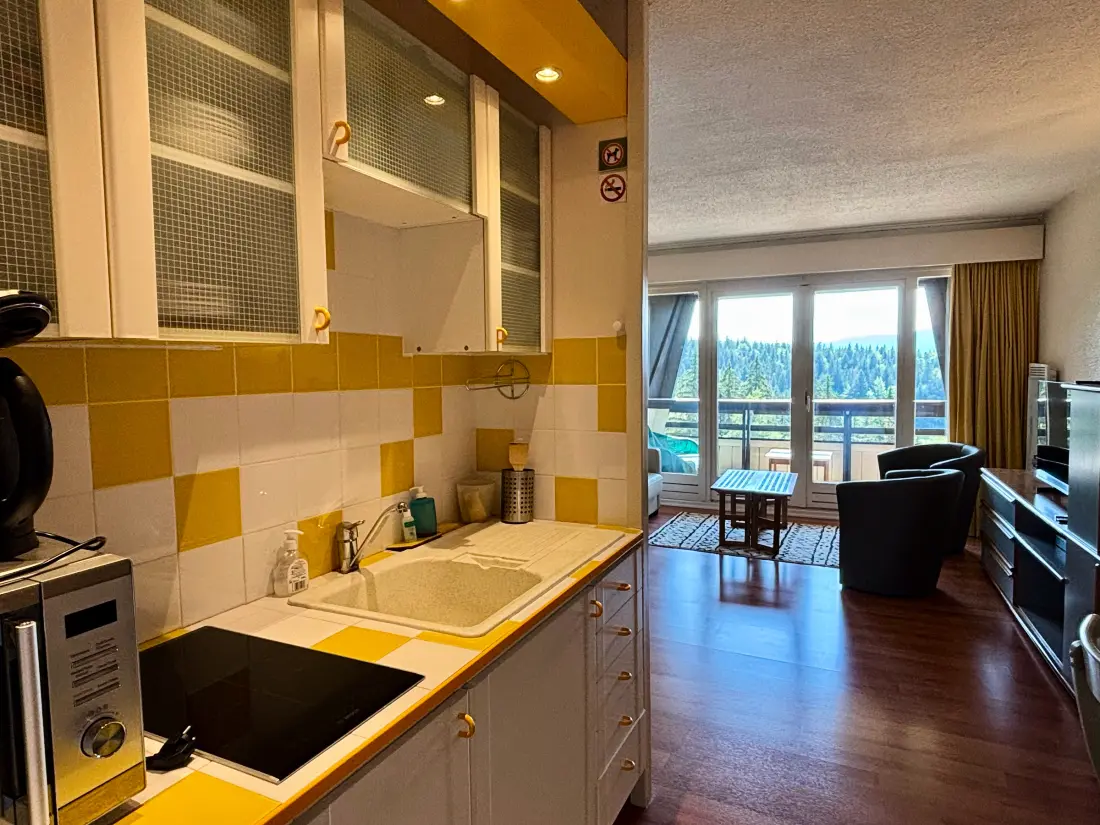 Location de Vacances Villard-de-Lans 252