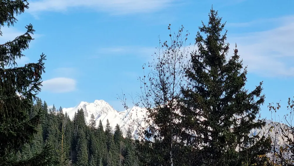 Chalet Akasha
