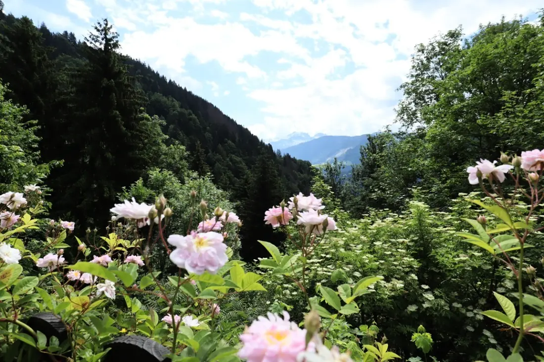 Chalet La Cordillere