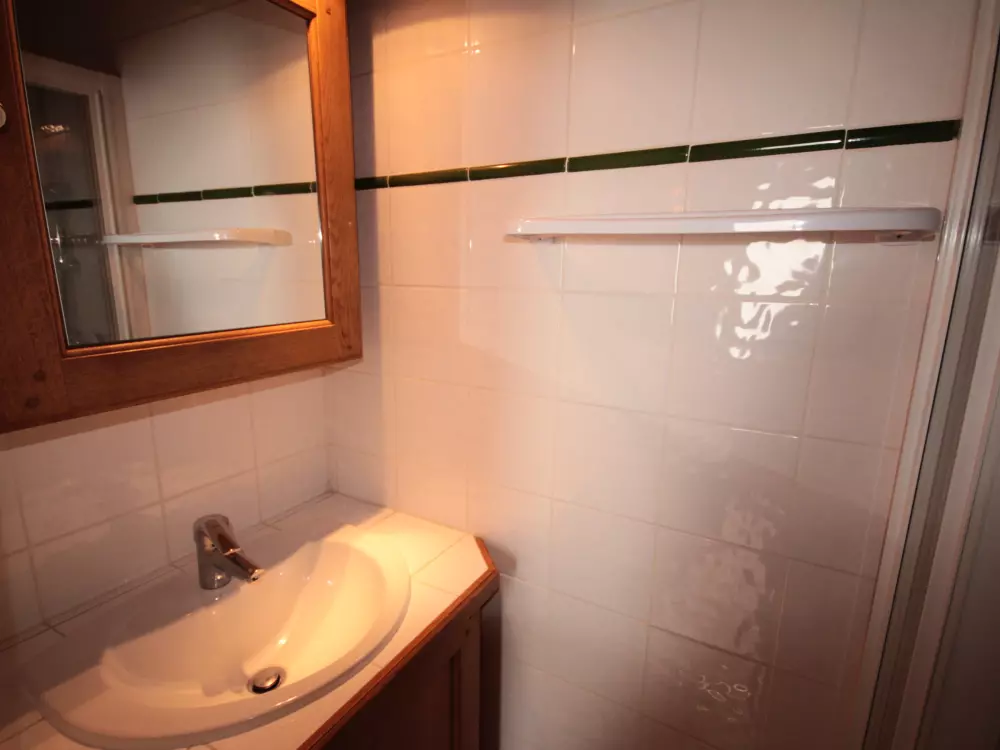 Location de Vacances Villard-sur-Doron 14