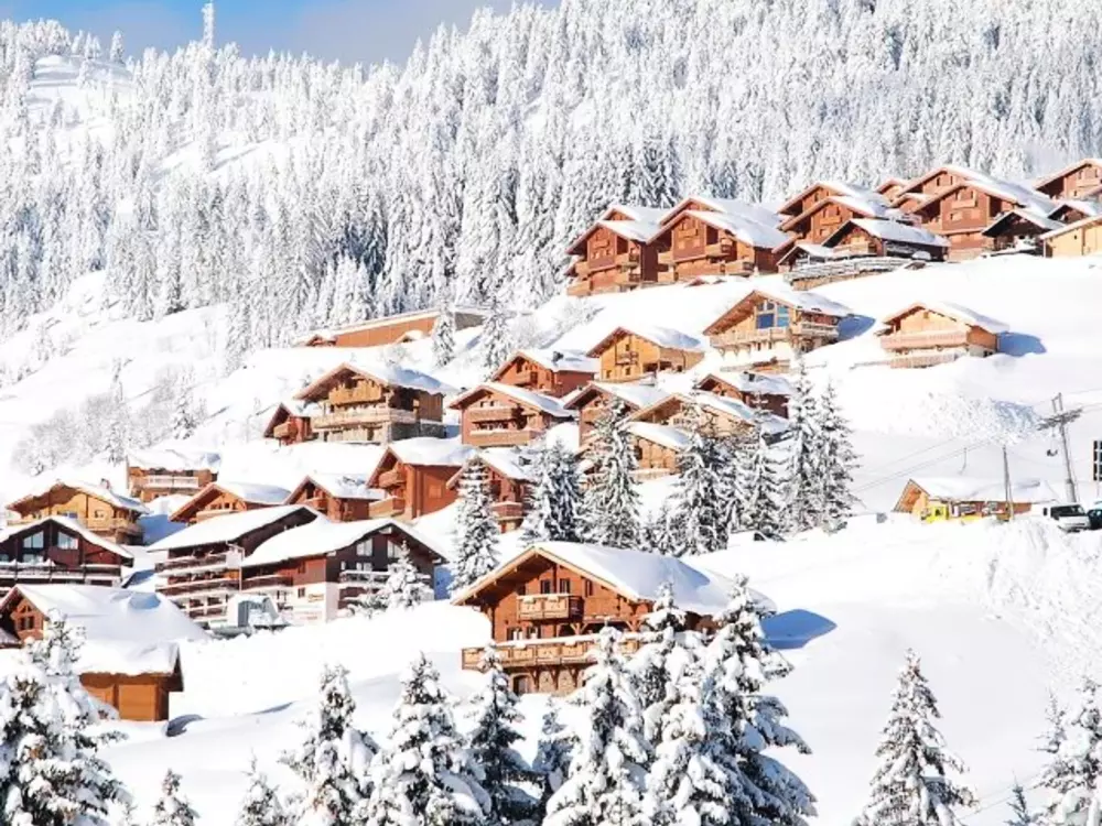 Location de Vacances Villard-sur-Doron 47