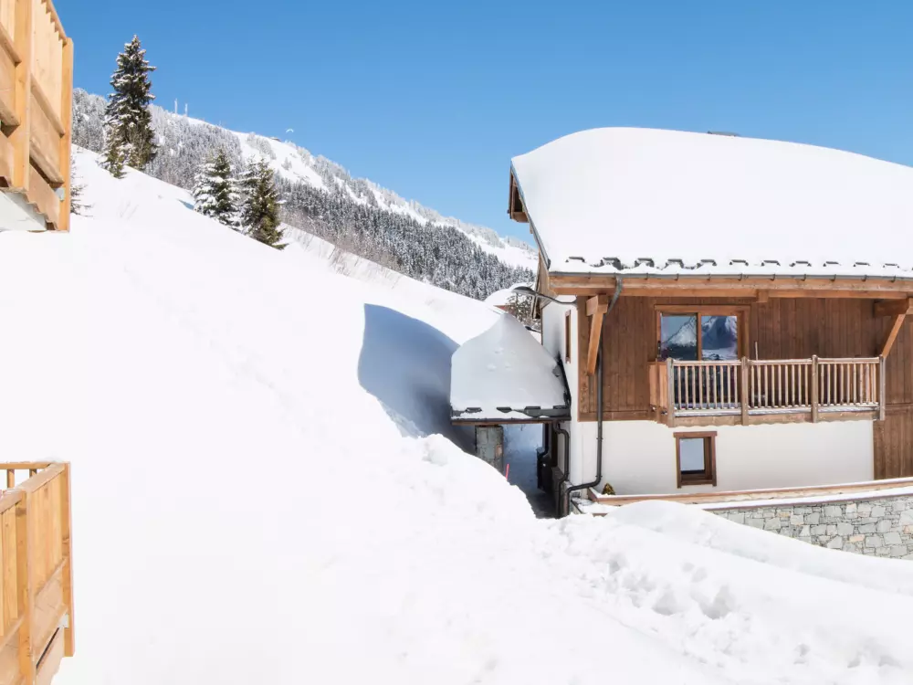 Location de Vacances Villard-sur-Doron 68