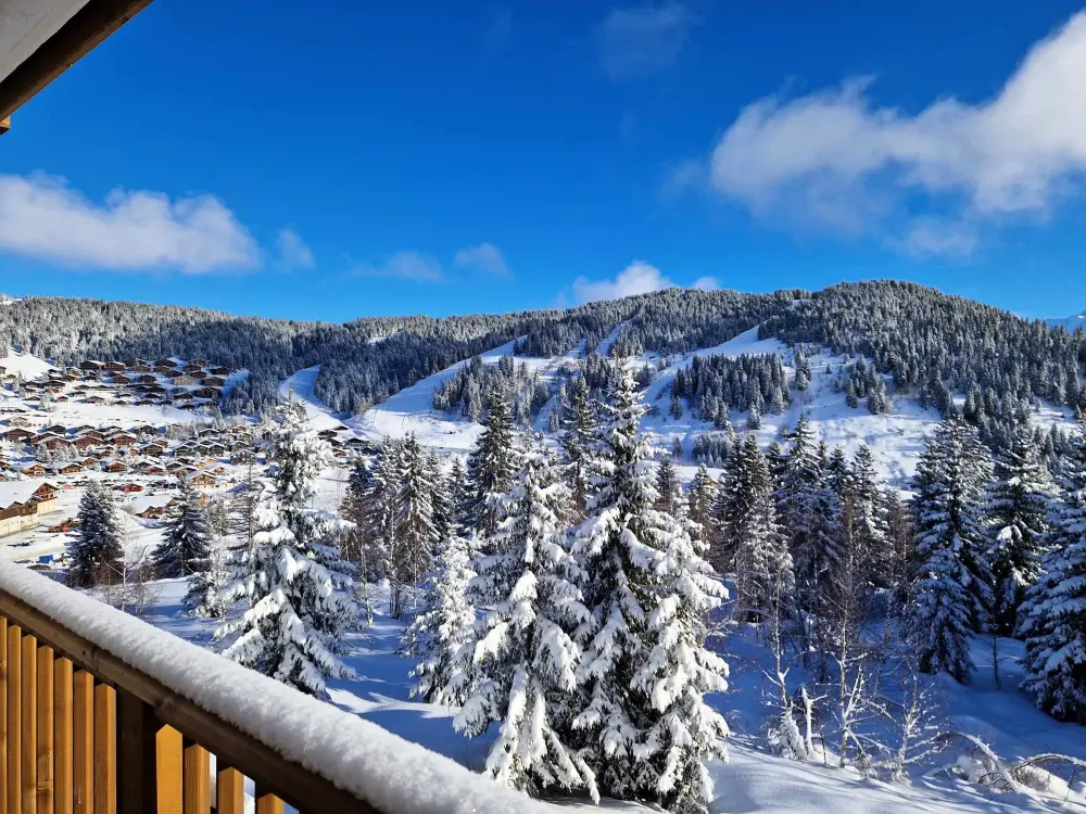 Location de Vacances Villard-sur-Doron 74