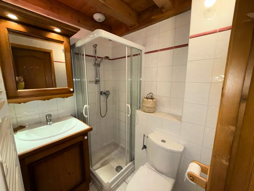 Location de Vacances Villard-sur-Doron 77