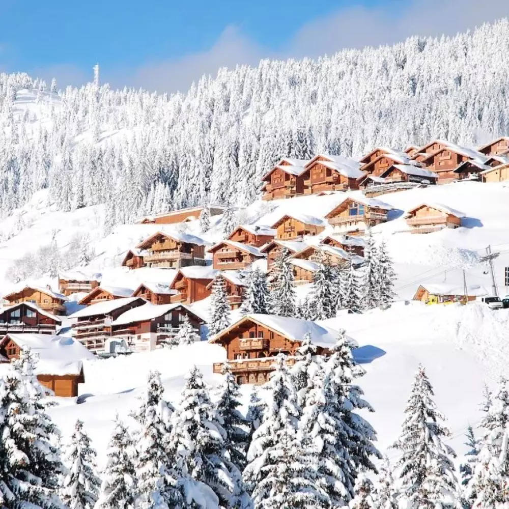 Résidence Alpages De Bisanne BÂtiment B