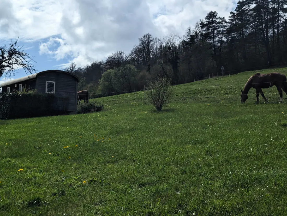 Gîte de France La ferrière
