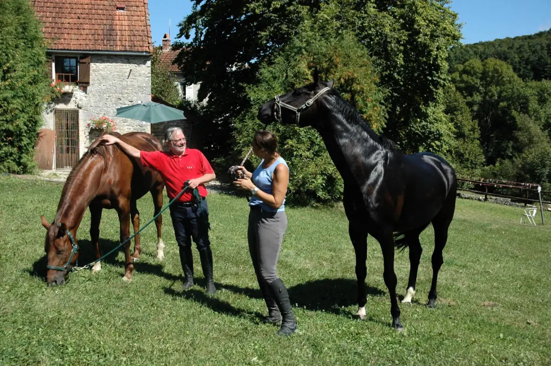 Gîte de France Le four à pain 3 épis