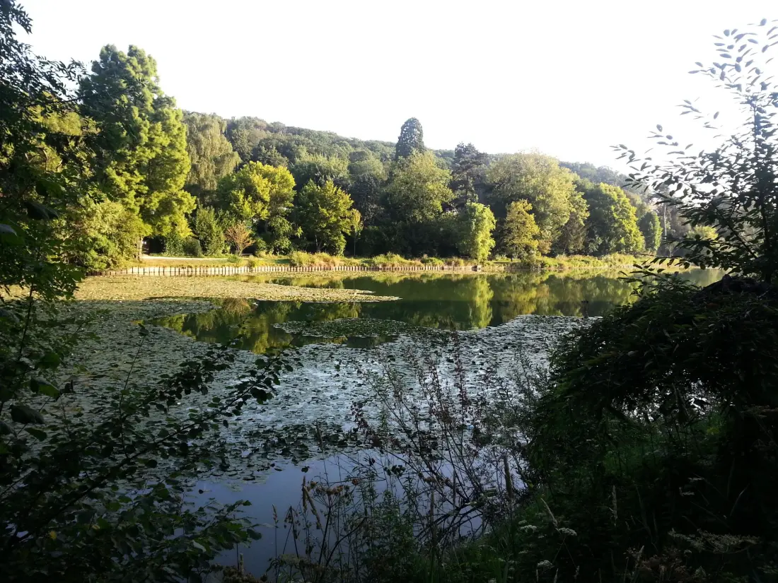 Résidence Versailles in Ruhe