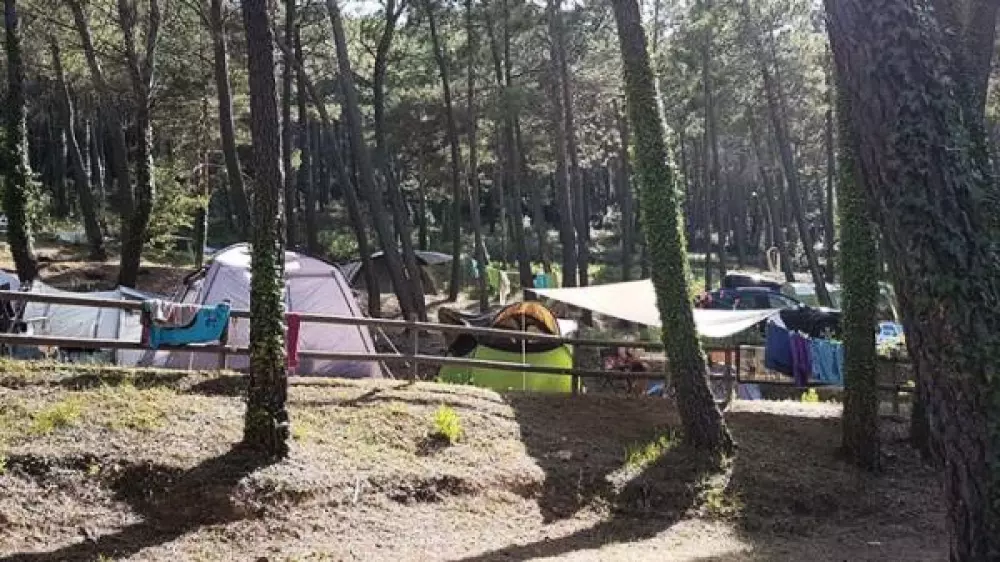 Camping Paradis Le Ruou 41 étoiles★