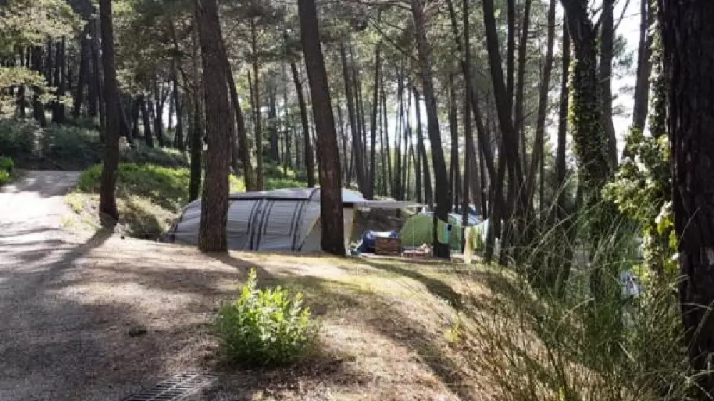 Camping Paradis Le Ruou 41 étoiles★