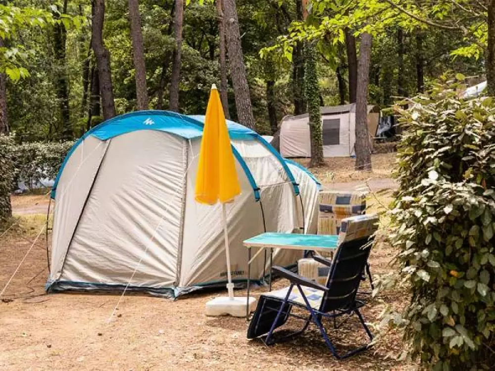 Camping Paradis Le Ruou 41 étoiles★