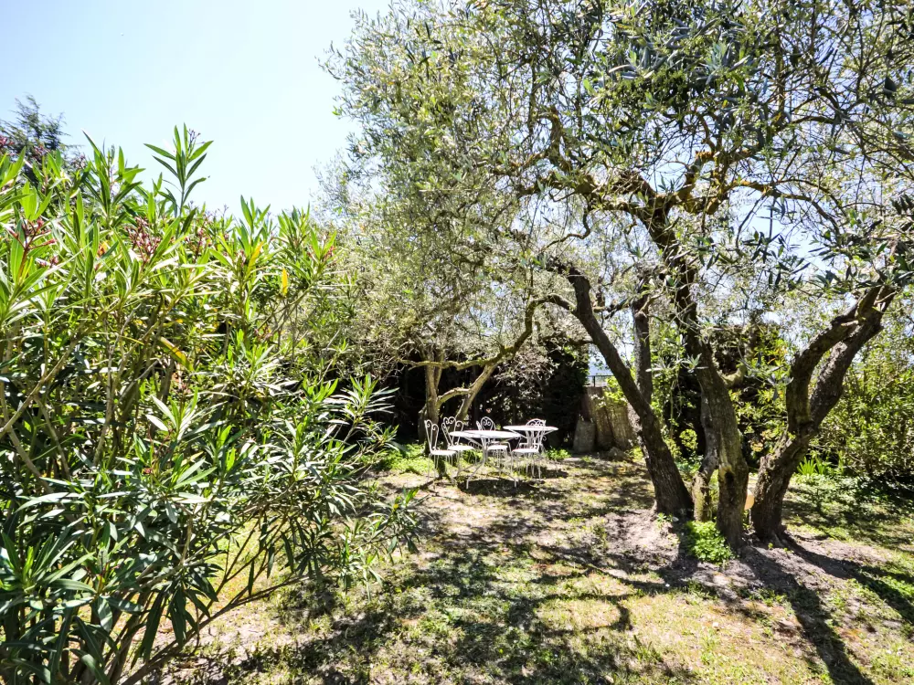 Maison de Vacances Villelaure