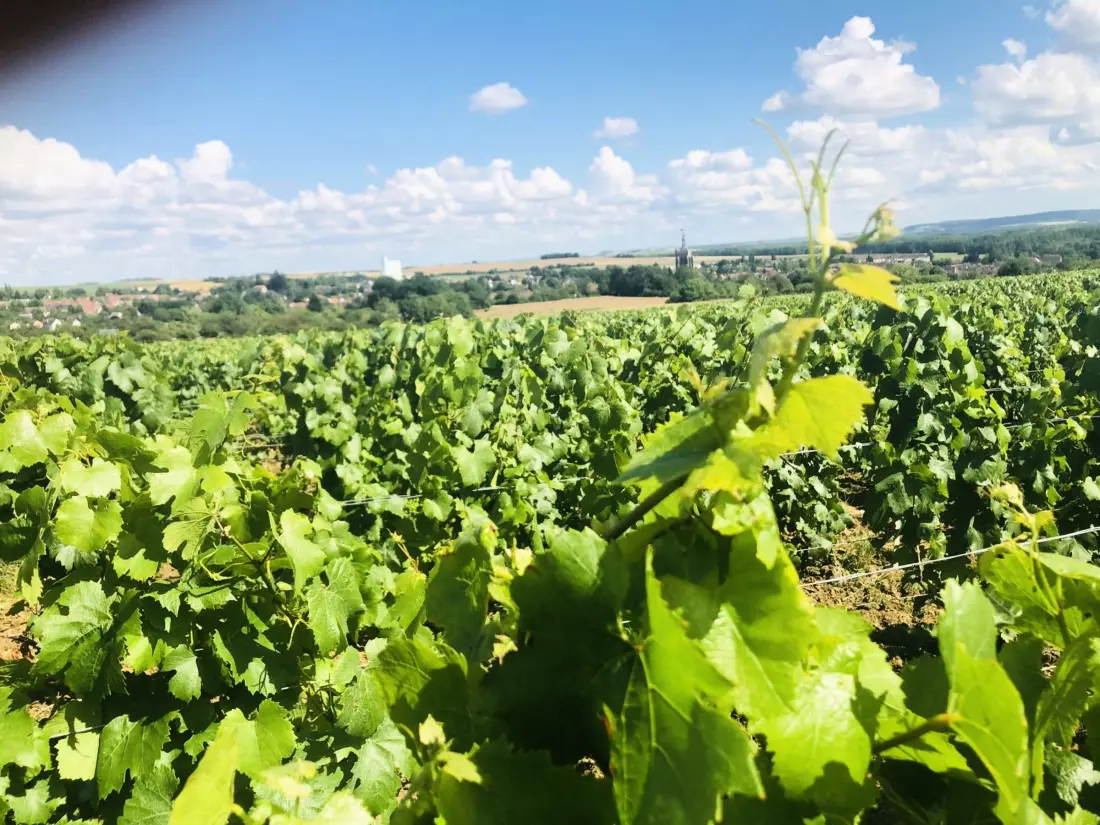 Location de Vacances Villenauxe-la-Grande 4