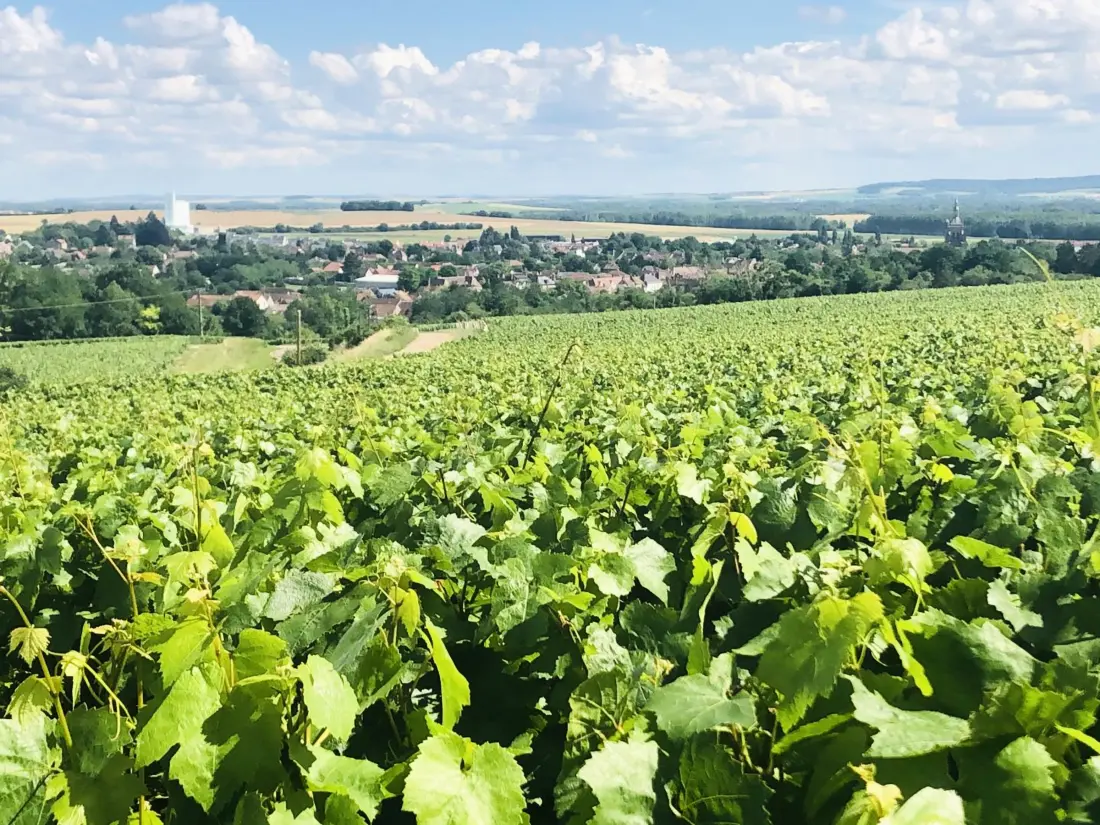 Location de Vacances Villenauxe-la-Grande 4