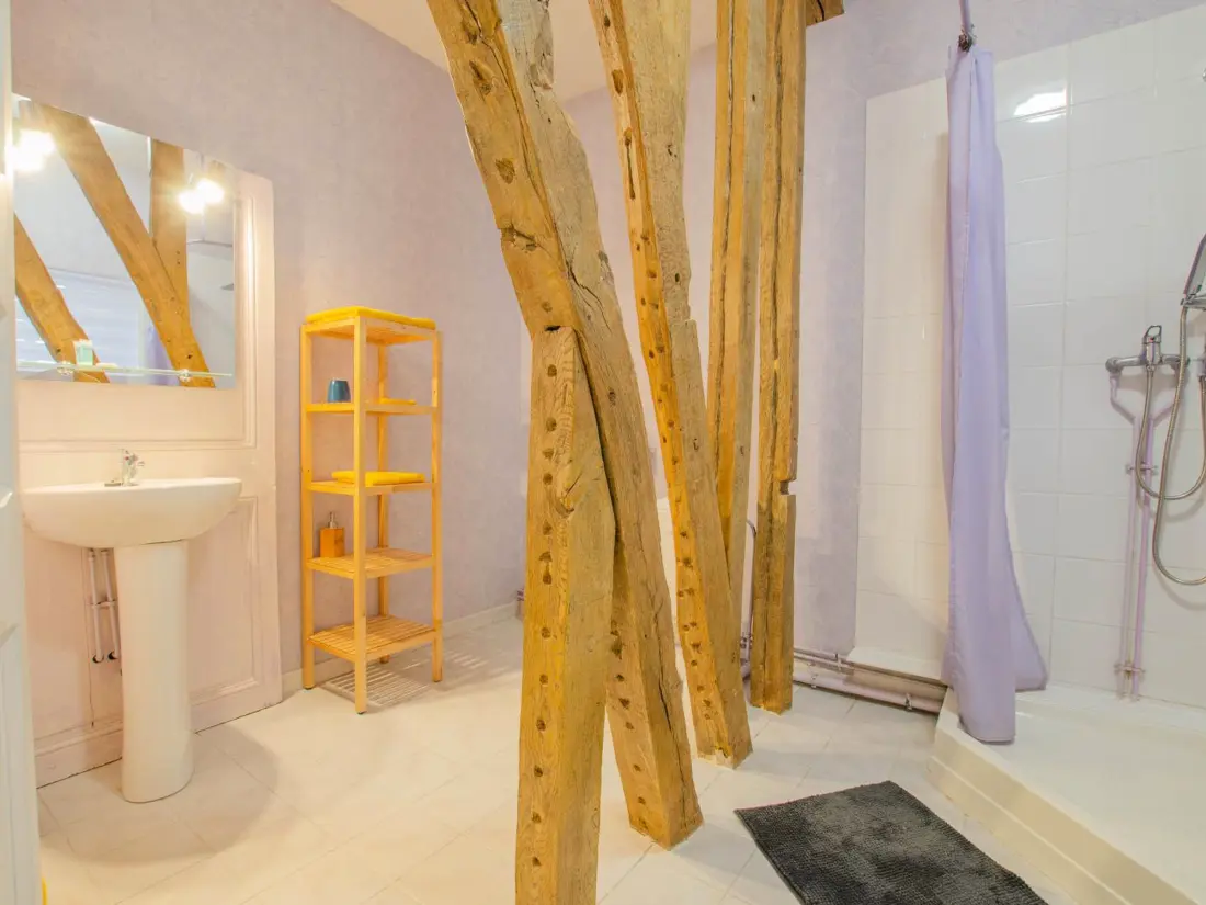 Maison de Vacances Villenauxe-la-Grande 11