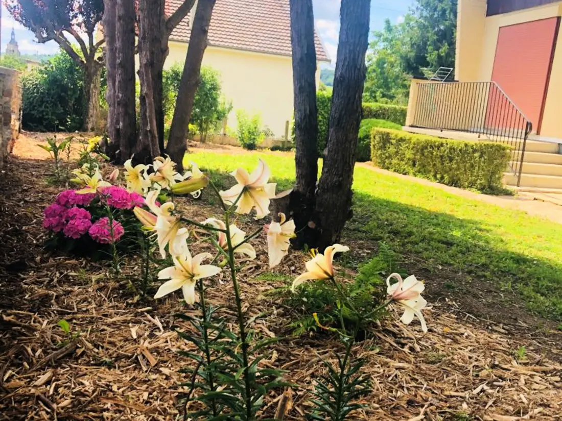 Maison de Vacances Villenauxe-la-Grande 7