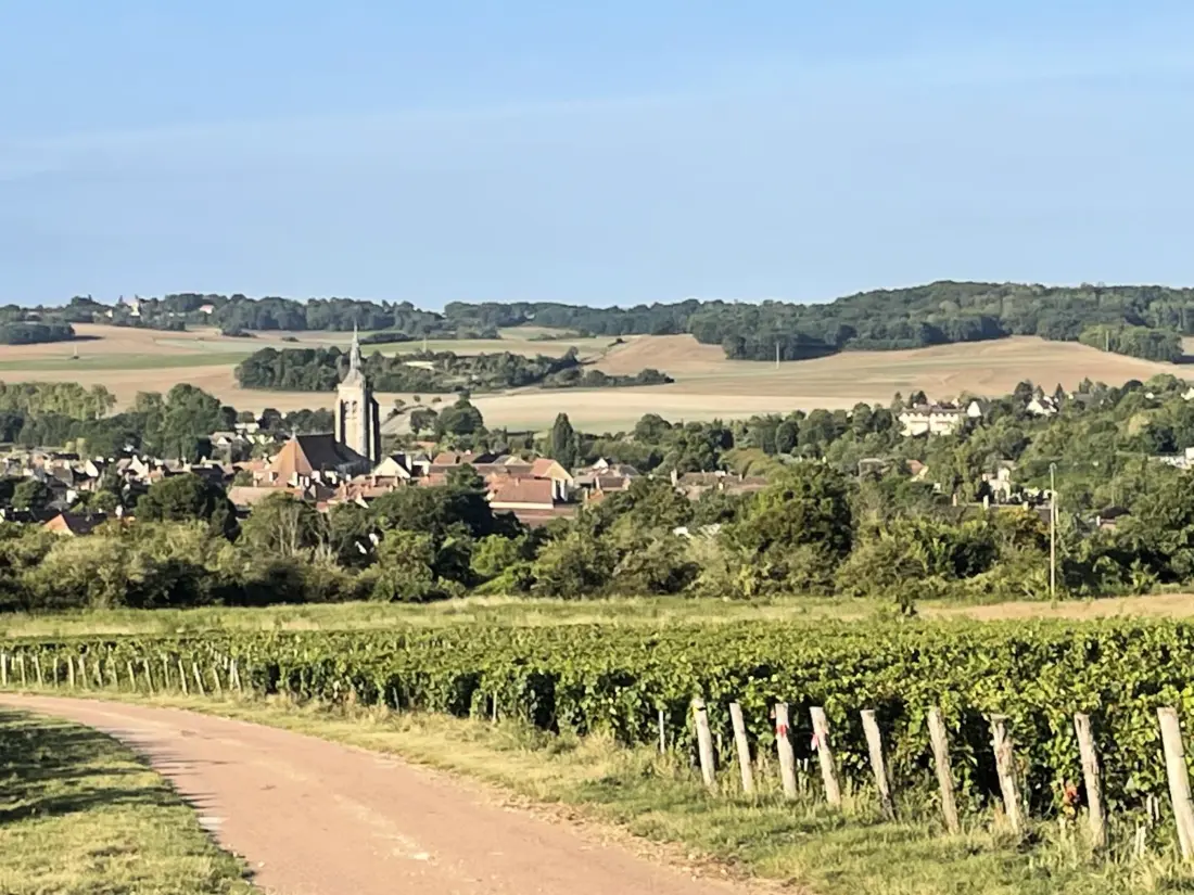 Maison de Vacances Villenauxe-la-Grande 7