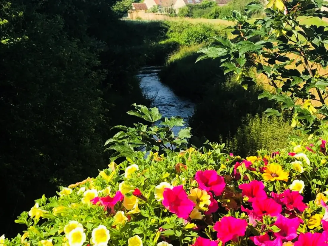 Maison de Vacances Villenauxe-la-Grande 7