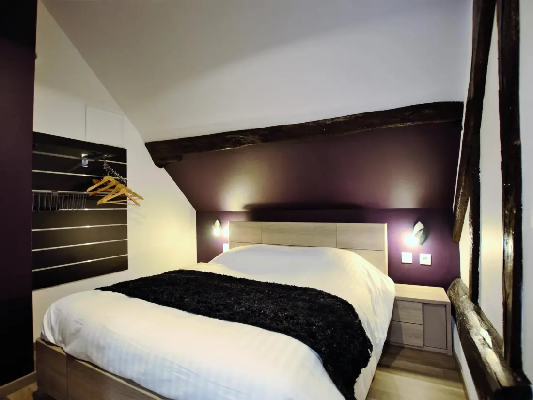 Maison de Vacances Villenauxe-la-Grande 9