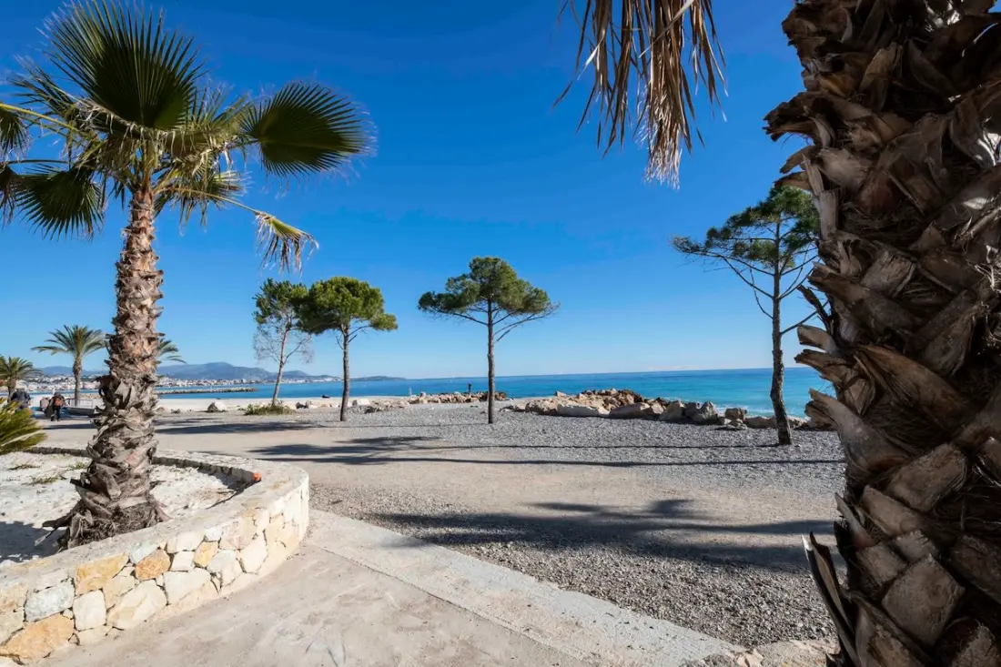 06ah - Superbe T2 Les Pieds Dans L'eau - Piscine