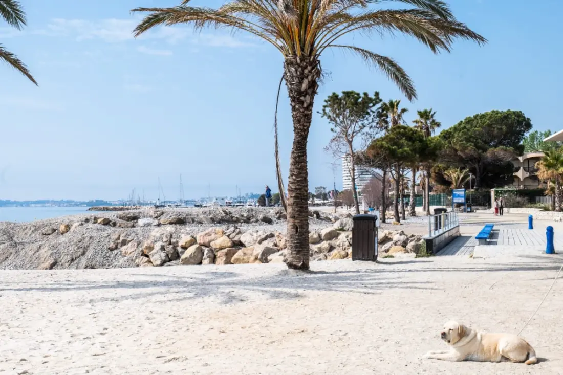 Petit Cocon Avec Accès Direct à La Plage !