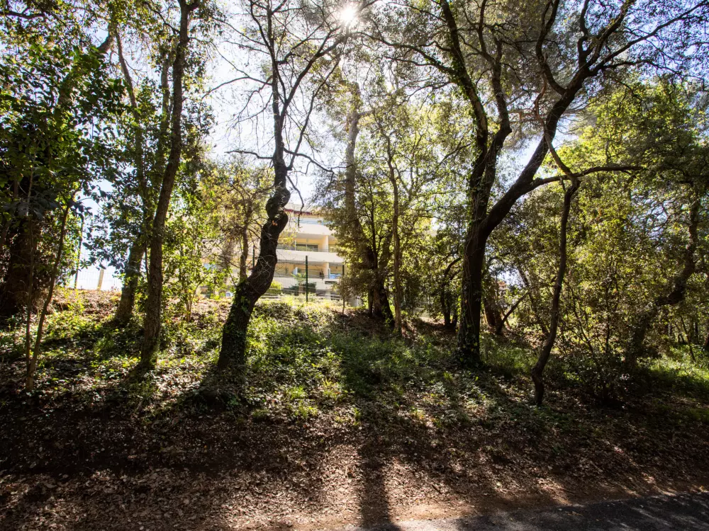 Résidence Le Royal Park