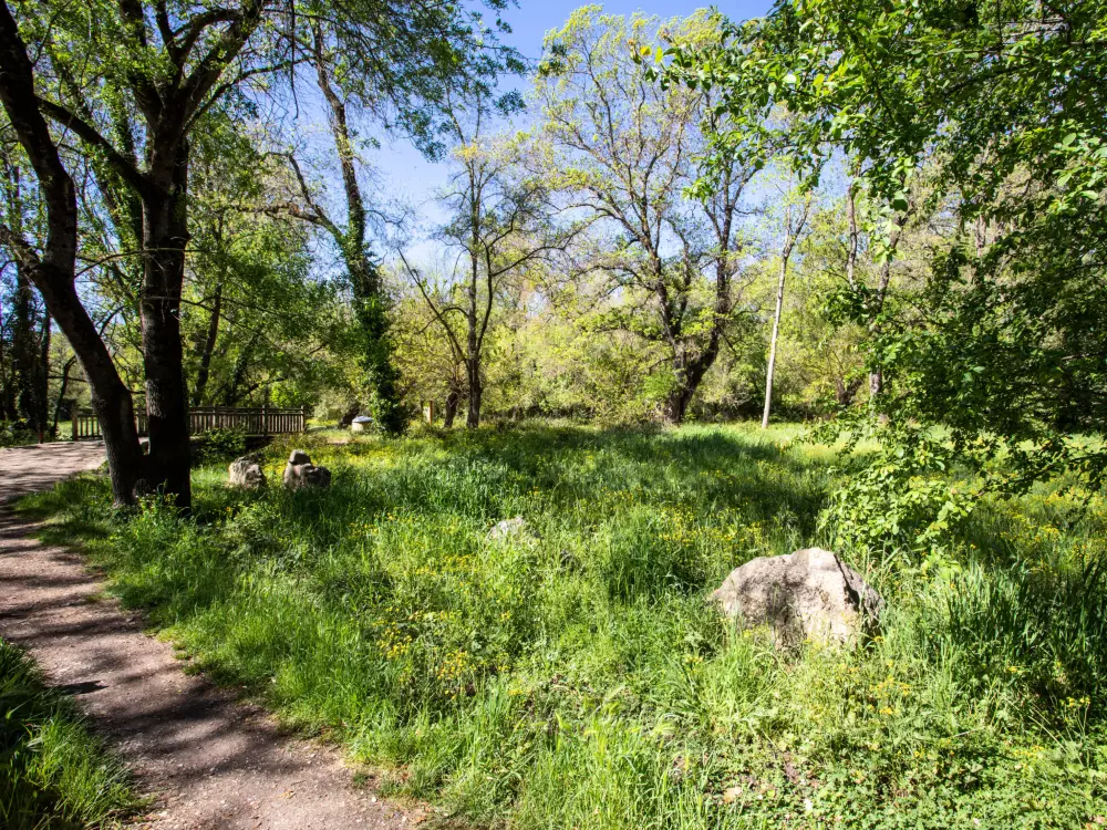 Résidence Le Royal Park