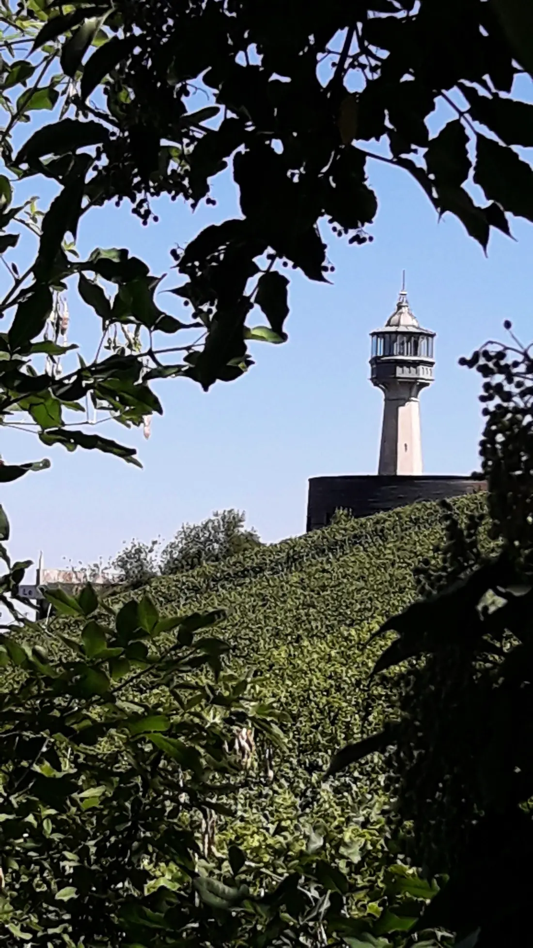 Gîte de France Entre terre et vignoble - gite 3 épis