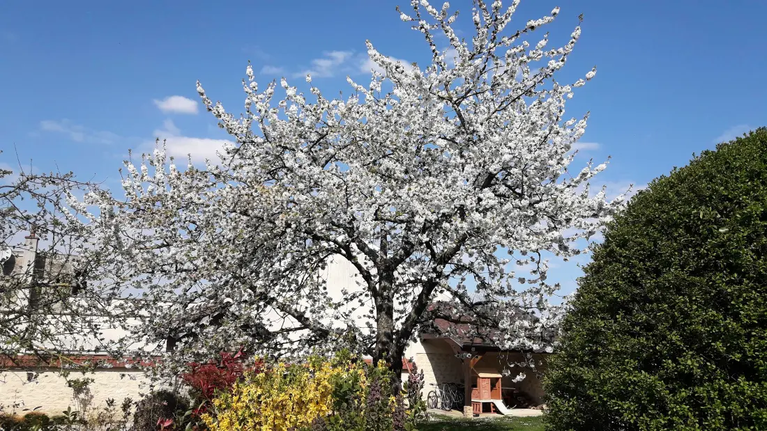 Gîte de France Entre terre et vignoble - gite 3 épis